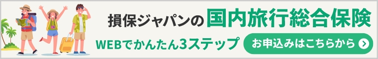 国内旅行総合保険